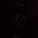 Image for article titled BlackBerry Z10 Camera: The Worst Low-Light Performance We've Seen in a Long Time